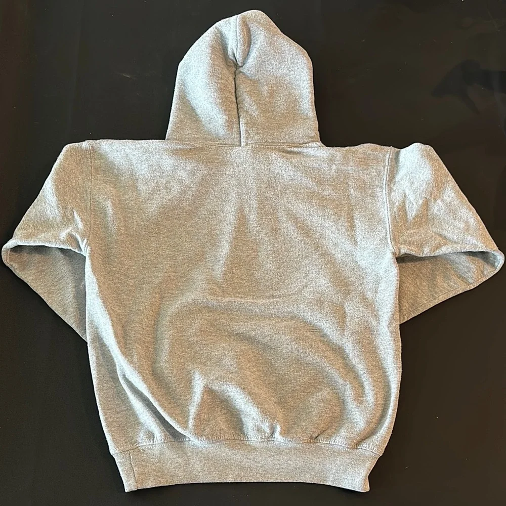 Gildan Gray Lincoln Park Zoo Bear Hoodie for Kids - Picture 5 of 5